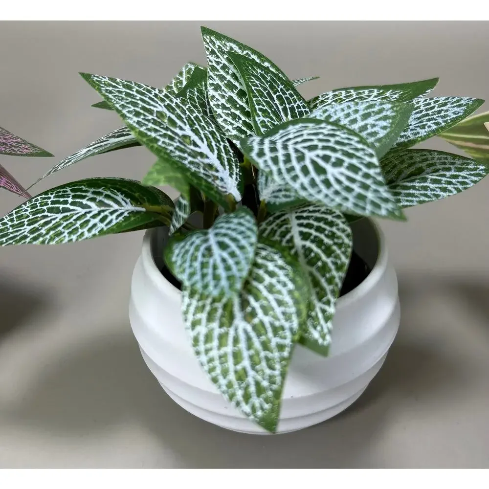 3 Small Artificial Colorful Potted Plants In White Planters. NEW